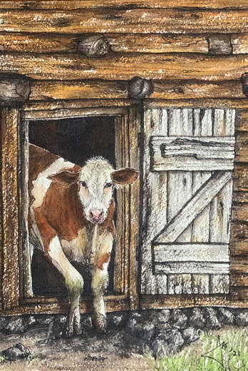Cow in the shed