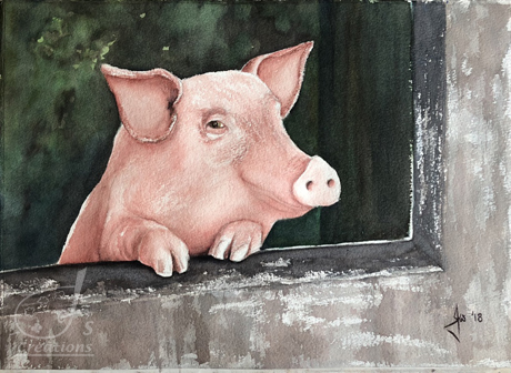 Piggy in the Window