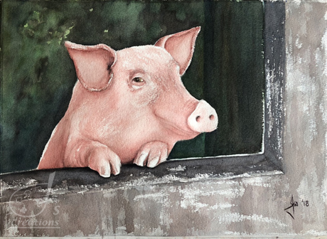 Piggy in the Window