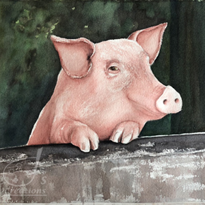 Piggy in the Window